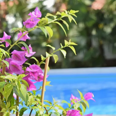 House Mai With Pool 3* Poreč